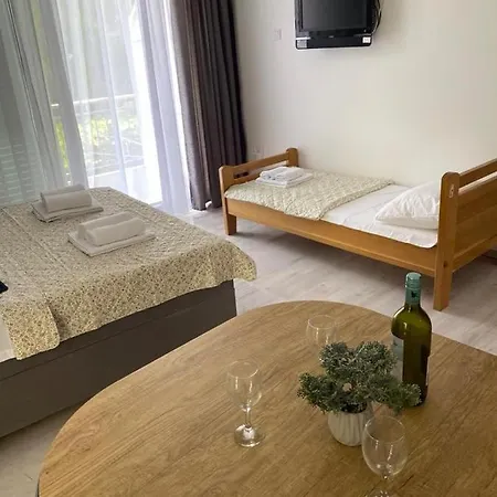 Dvorski Apartman *
