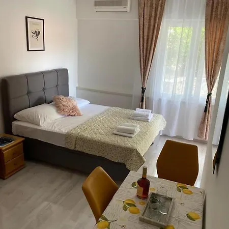 Dvorski Apartman *