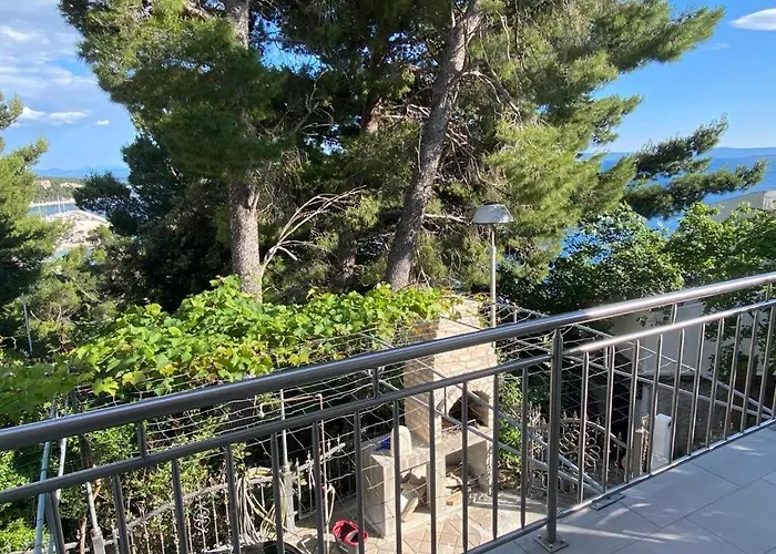 Dvorski 巴什卡沃达