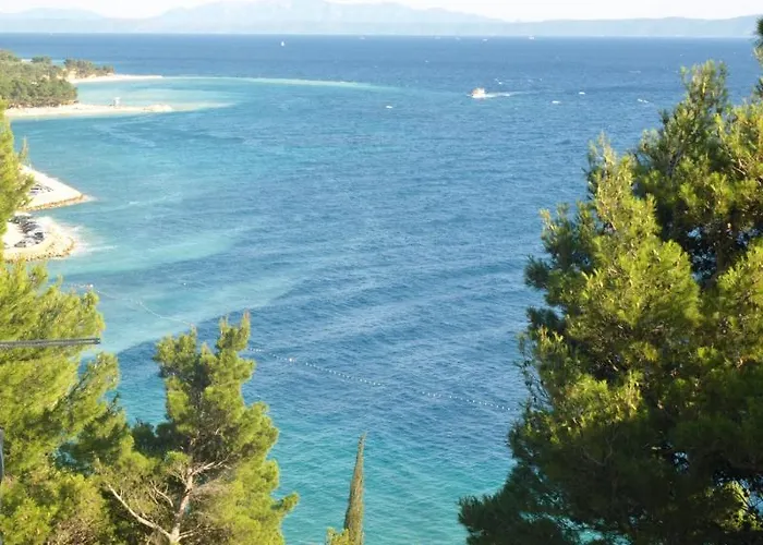 Dvorski * 巴什卡沃达