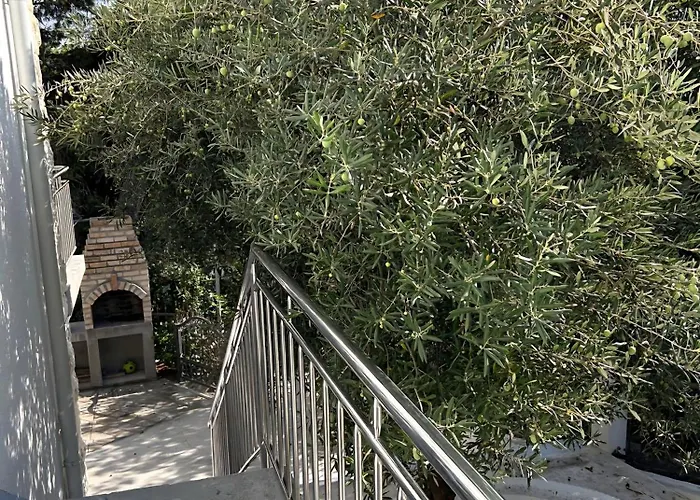 Dvorski * Baška Voda